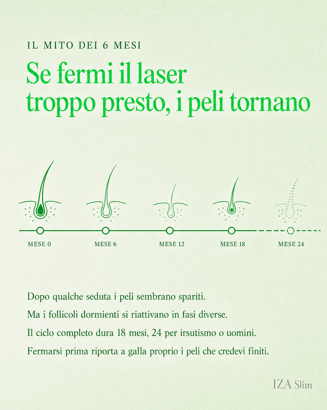 Il mito dei 6 mesi: se fermi il laser troppo presto i peli tornano, timeline del ciclo del pelo